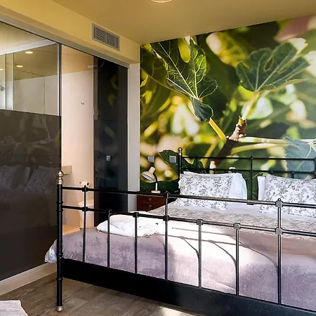 Fig Tree By Plus Villa *
